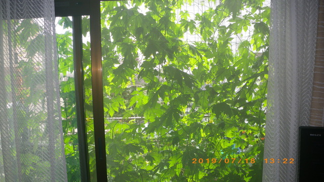 IMGP0631.JPG