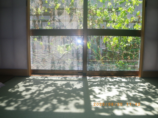 IMGP1591.JPG