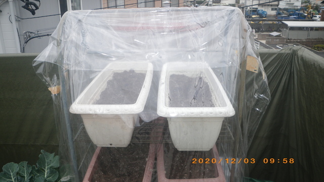 IMGP1760.JPG